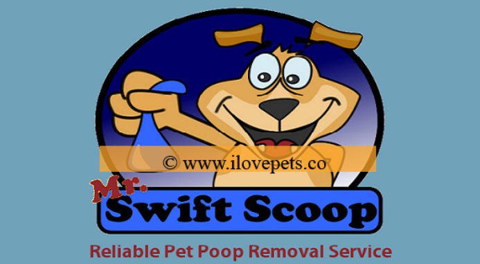 poop scoop company near me