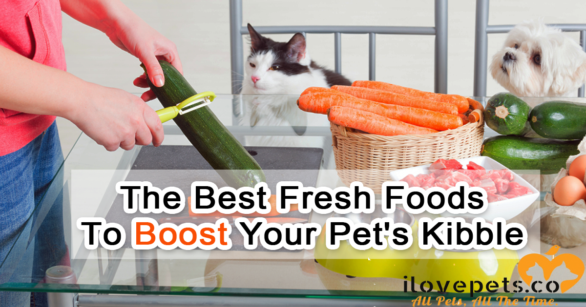 Boost your cat or dog's dry kibble with these healthy, fresh, cancer-preventing foods.