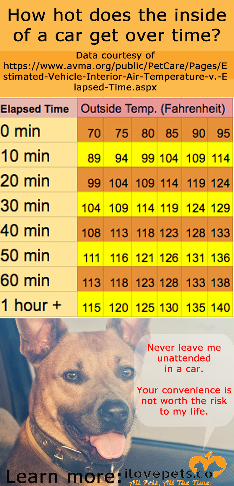 dog hot car interior temperature chart