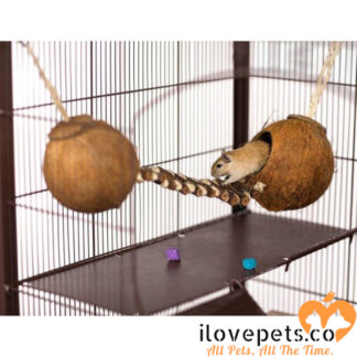 Double Coconut with Ladder For Small Animals and Birds
