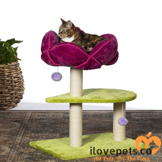 Flower Power Cat Furniture By Prevue Pet Products