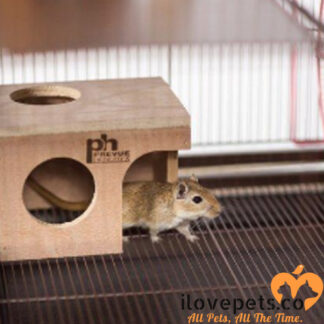 Hamster Gerbil Hut By Prevue Pet Products