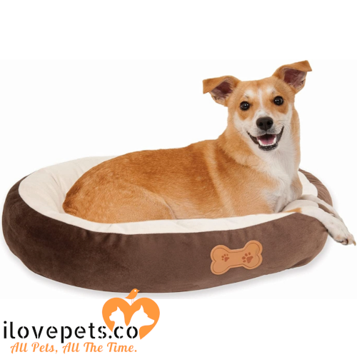 oval pet bed